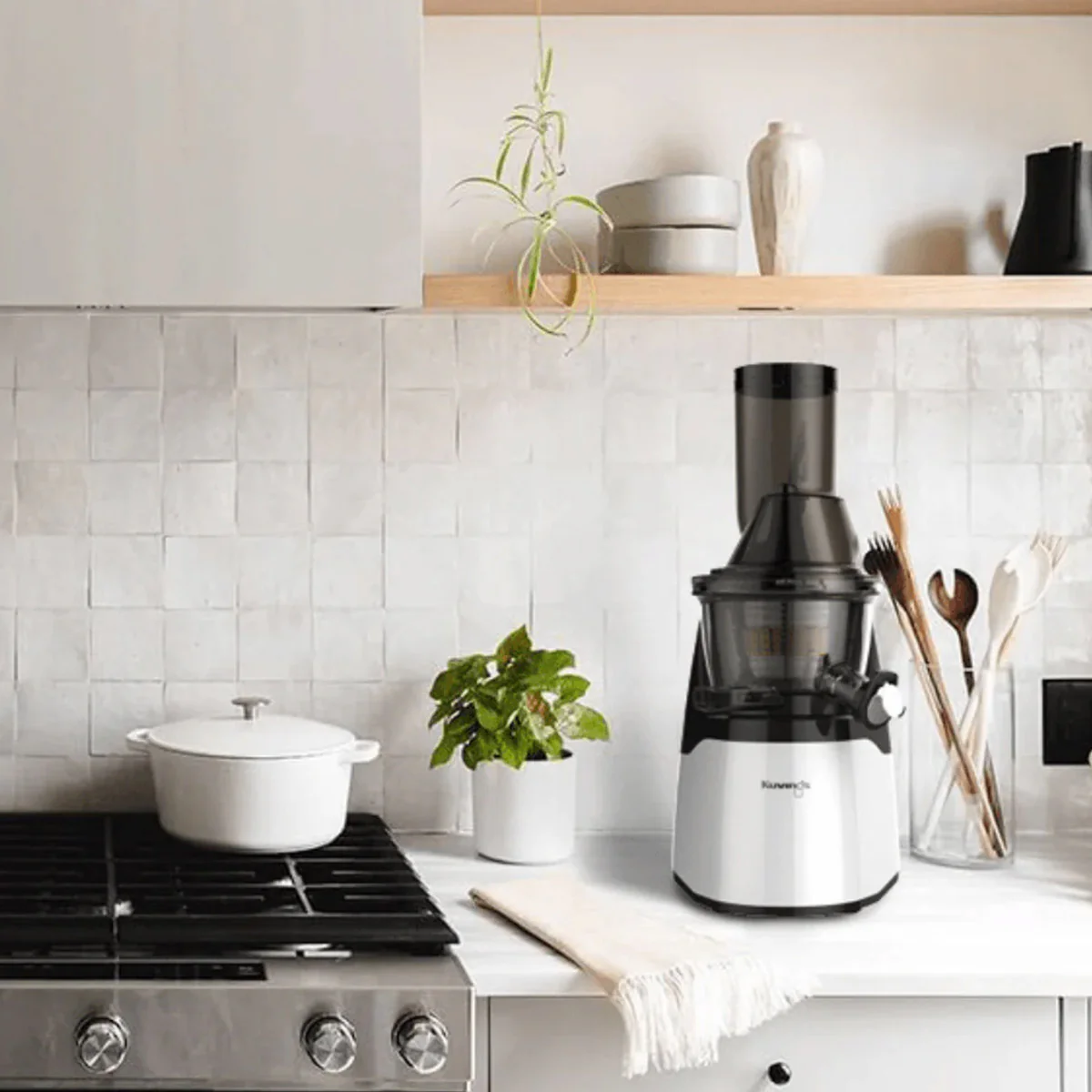 "Refined Robin" EVO700 Whole Slow Juicer - Image 4